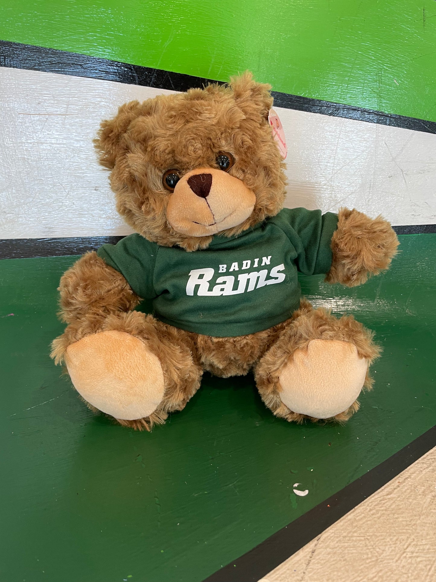 Mocha Bear in Badin Green Sweatshirt